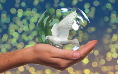 peace-dove-2489589_1920-400x250 Blog