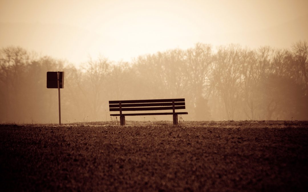 Opportunity Cost and Fixed Income Investing