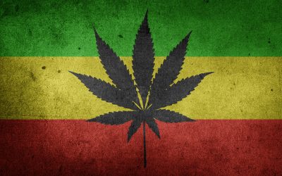 marijuana-1556358_1920-400x250 Blog