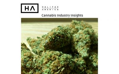 Cannabis-Industry-Insights-400x250 Blog