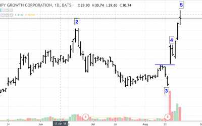 CGC-400x250 Blog